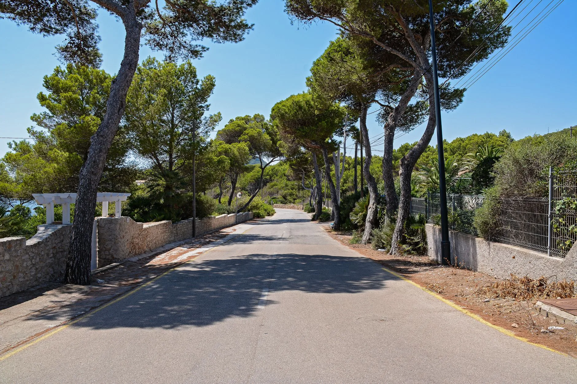 ️ Conseils pratiques sur la route
