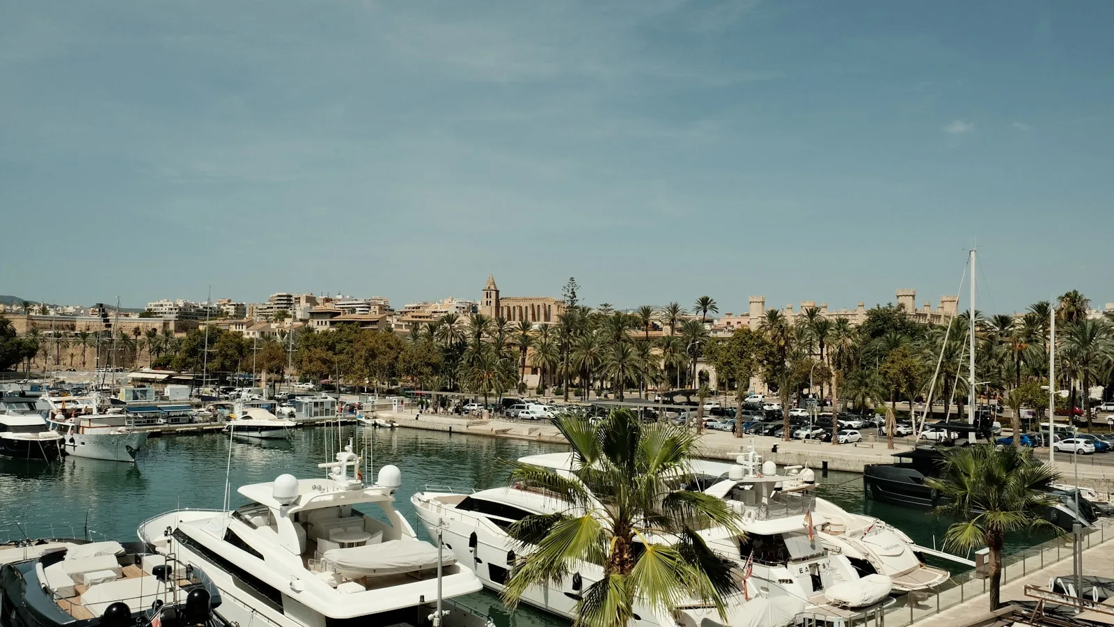 Le Port d'Alcúdia : le cœur touristique animé