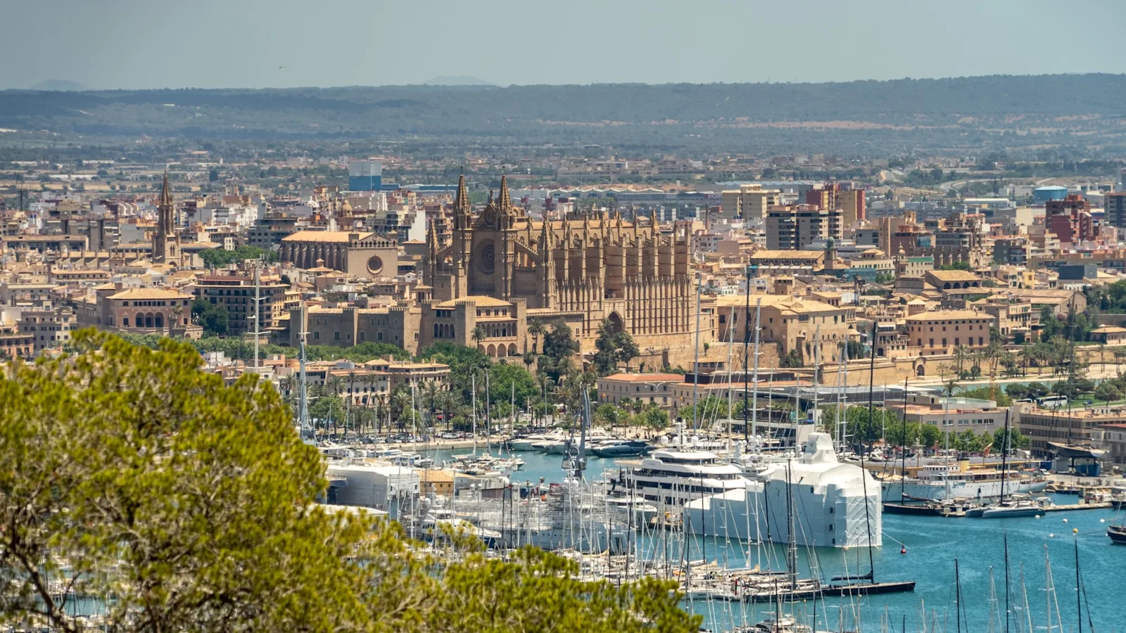 El Born et La Llotja : entre port et gastronomie