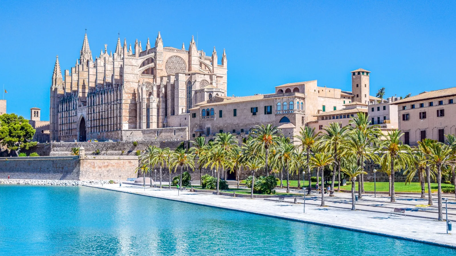 Vue de la cathédrale de Palma de Majorque