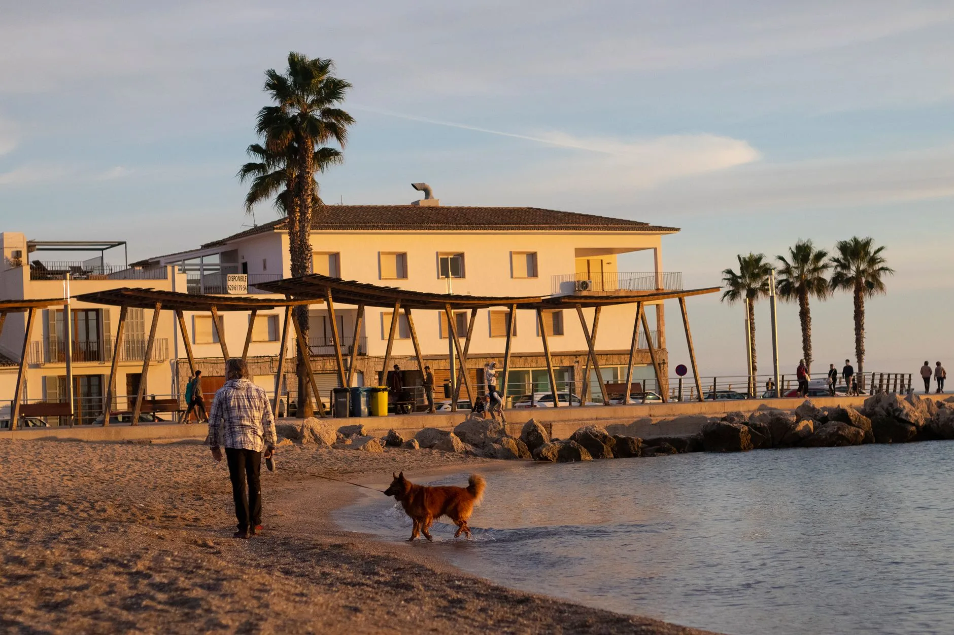️ Plages autorisées aux chiens, île par île